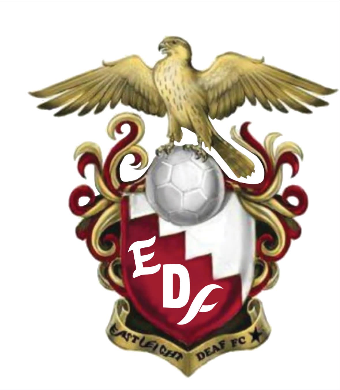 EASTLEIGHT DEAF FOOTBALL CLUB